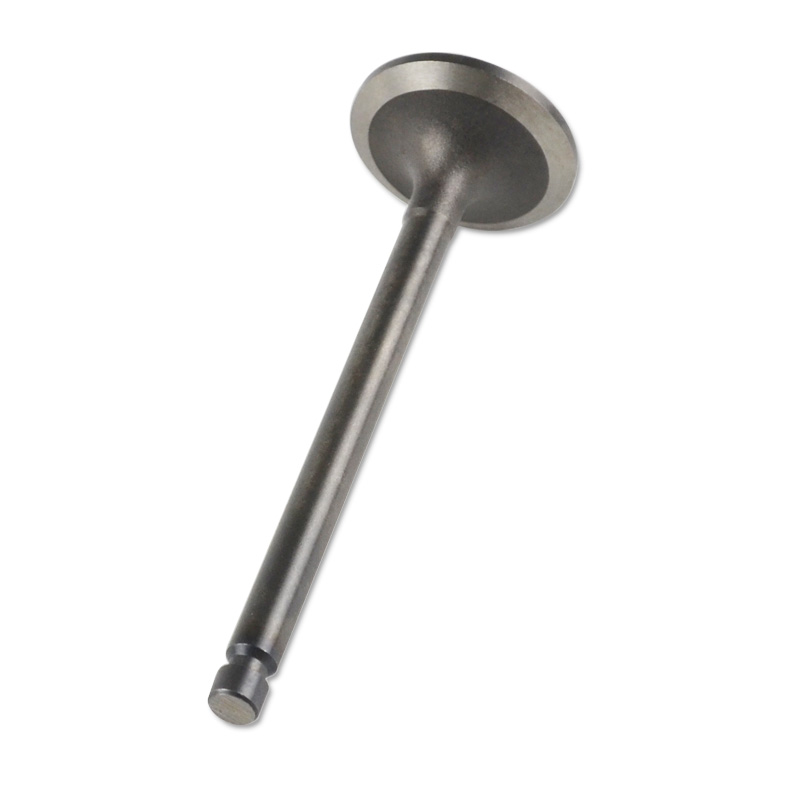 Compatible con 24591 Enging Valve