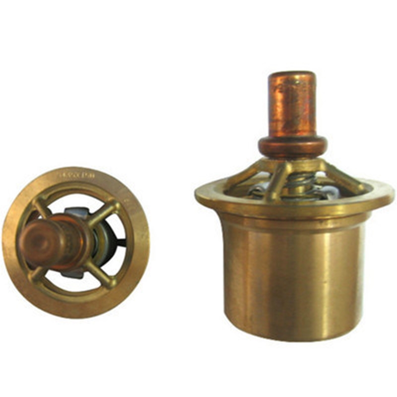 Perfecto para Ingersoll Rand - Element Thermostatic 160 22125231